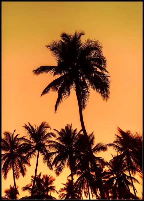 Palmtrees In The Sunset Poster Heißes Angebot