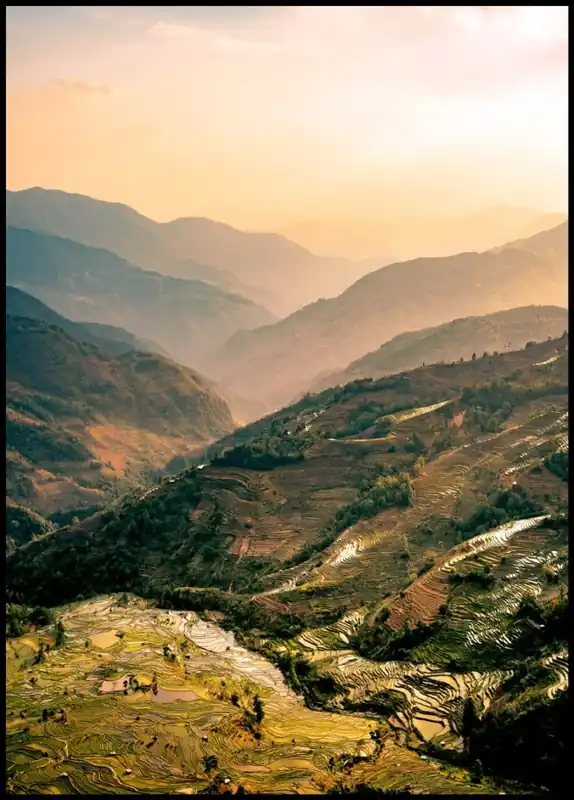 Terrace Culture Valley In Evening Sun Poster Wochenendangebot