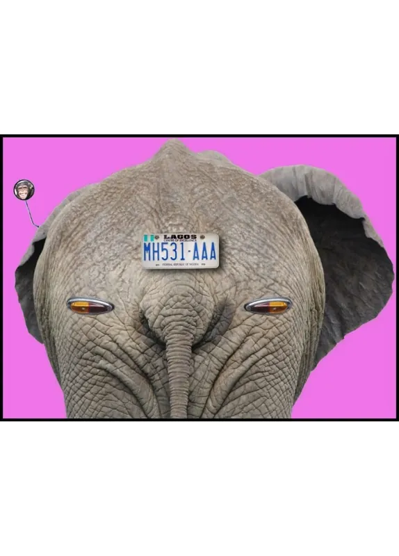 Jetzt Bestellen The Back Of An Elephant Poster