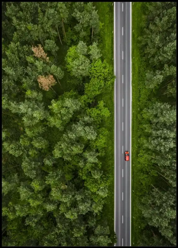 Aerial View Of Road In The Wood Poster Markenprodukt