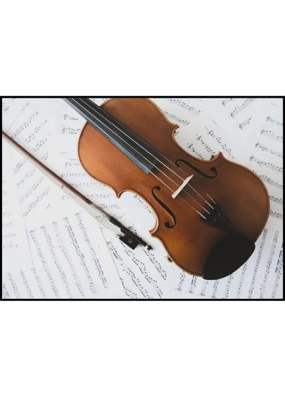 Schneller Versand Violin and Bow Poster