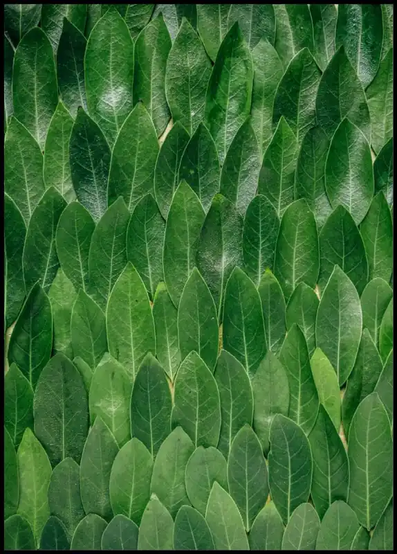 Green Leaves Pattern Poster Kostenfreie Lieferung
