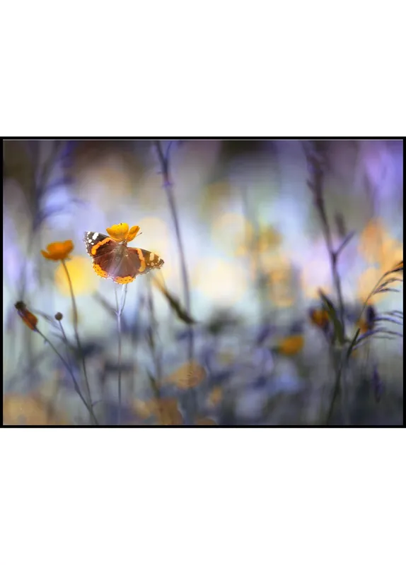 Markenware In a Meadow Poster