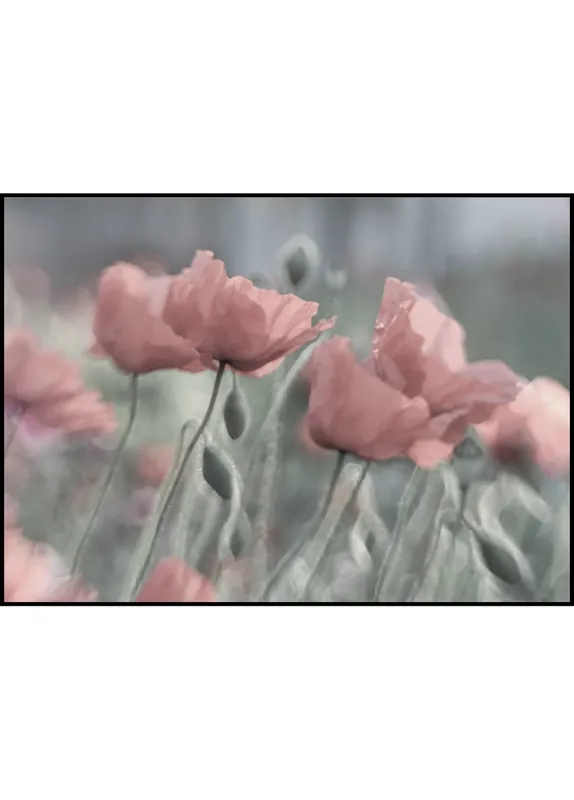 Heißes Angebot Pink Poppy Poster
