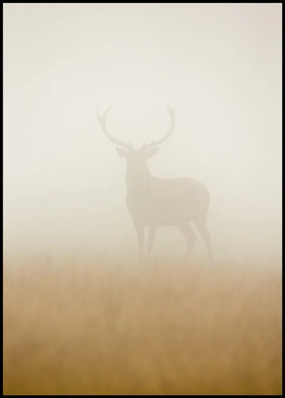 Kostenloser Rückversand Deer in the Fog Poster