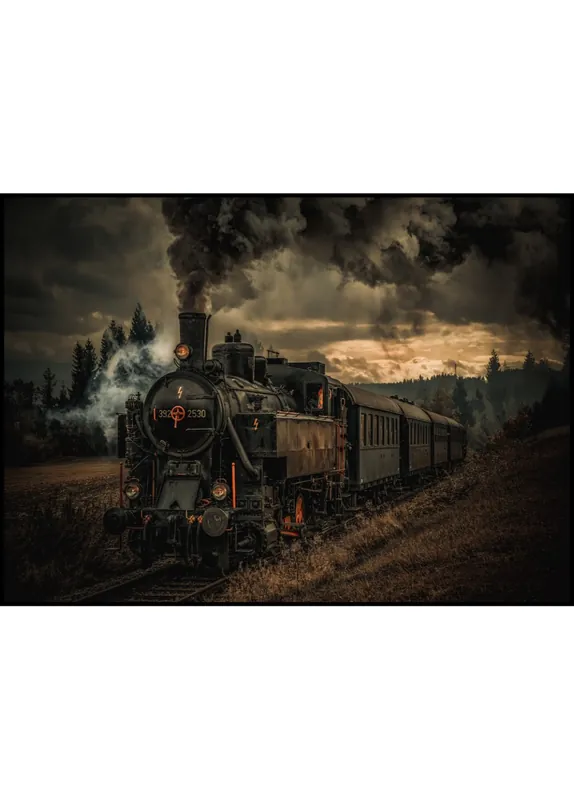 Online Kaufen Gold Digger Steam Train Poster