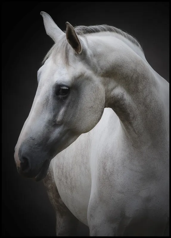 Sichere Zahlung Maggie the Horse Poster