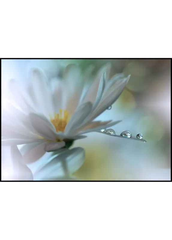 Light Touch Poster Versand Am Gleichen Tag