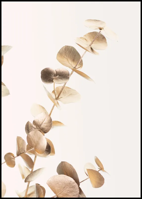 Knallerangebot Eucalyptus Gold nr. 2 Poster