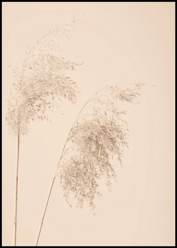 Meistverkauft Reed Grass nr. 9 Poster