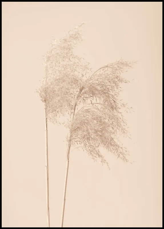 Reed Grass nr. 5 Poster Gratis Versand