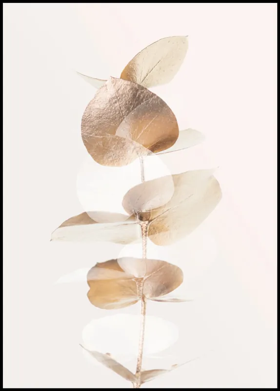 Preis Gesenkt Golden Eucalyptus nr. 4 Poster