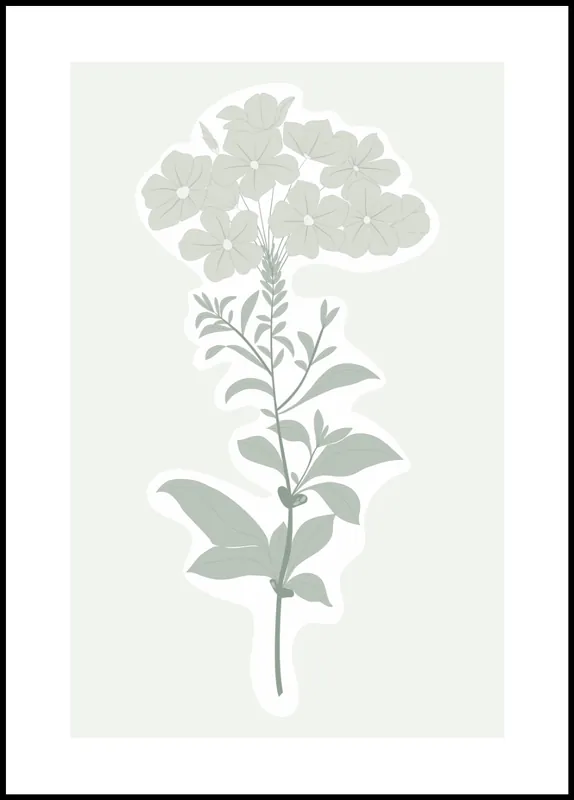 Meistverkauft Botanic Poster by Sanny Lundgren