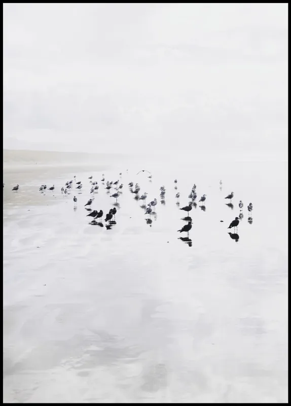 Seagulls on a Beach Poster Billig