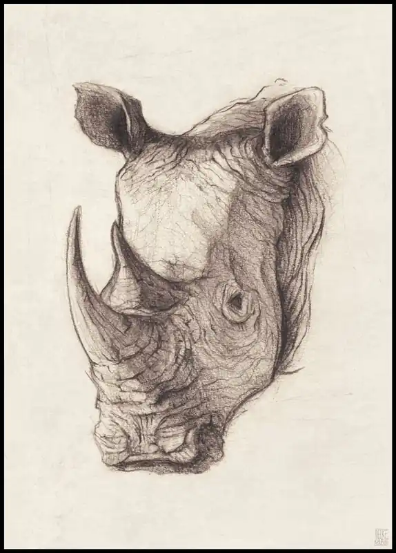 Versand Am Gleichen Tag Rhinoceros Poster by Mike Koubou