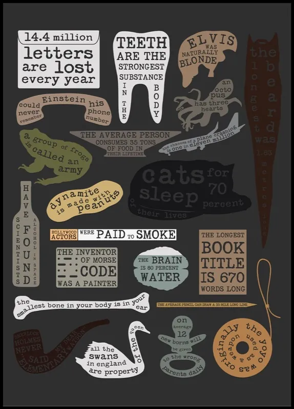 Must-Have Useful Facts Poster by Florent Bodart