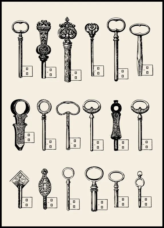 Begrenztes Angebot Usb Keys Poster by Florent Bodart