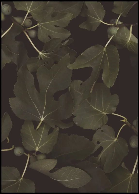 Botanical Night Poster by Florent Bodart Garantierte Lieferung