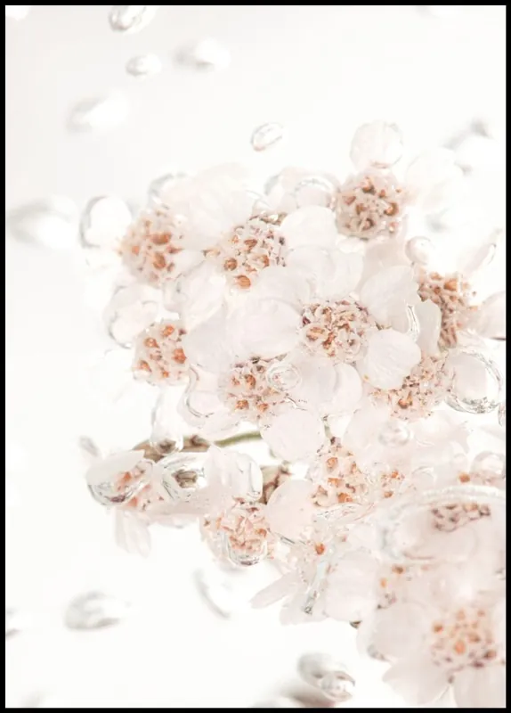 Flowers in Bubbly Water Billig