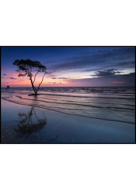 Kracherpreis Tide in Sunset Poster