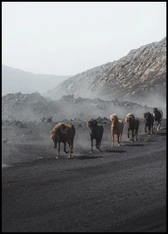 Wild Icelandic Horses Trotting on Gravel Road Poster Wochenendangebot
