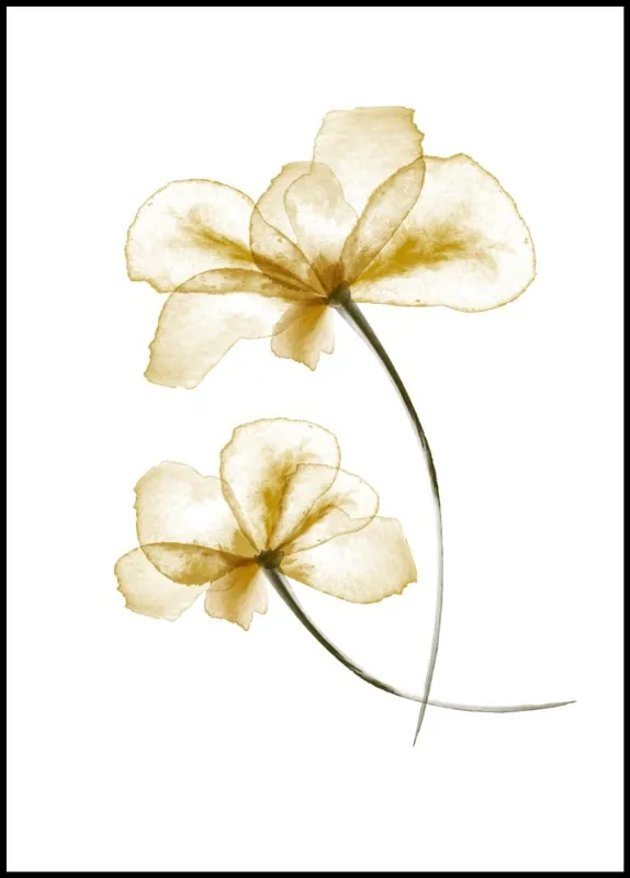 Garantierte Lieferung Pressed Flowers Poster