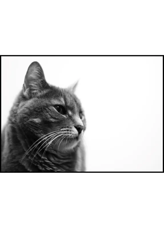 Ausverkauf Satisfied Cat in Grayscale Poster