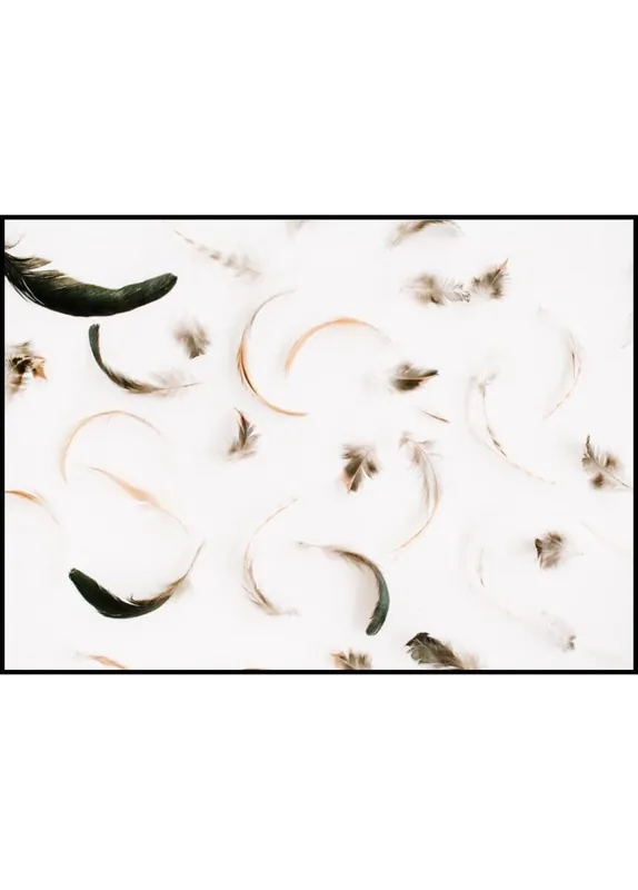 Angebot Different Feathers Poster