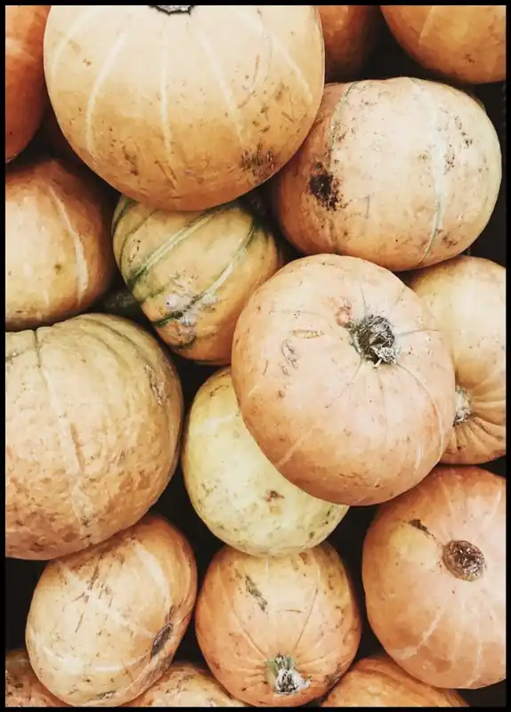 Faded Pumpkins Poster Zertifiziert