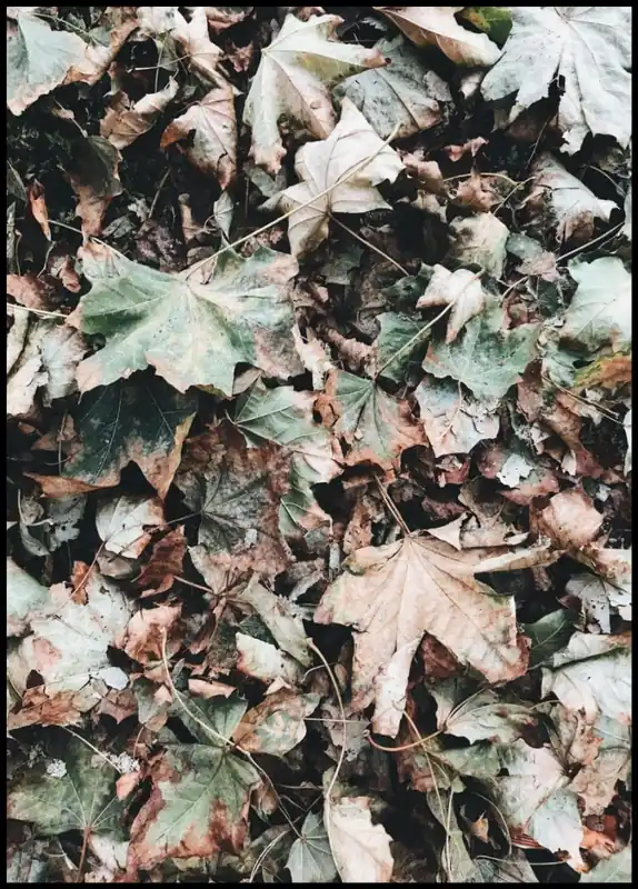 Preis Gesenkt Between Seasons Poster