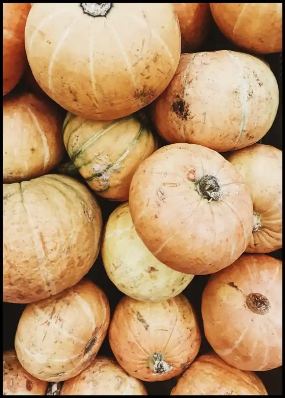 Neue Kollektion Pile of Pumpkins Poster