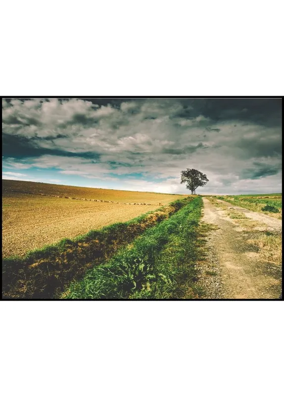 Geprüft Open Fields South of France Poster