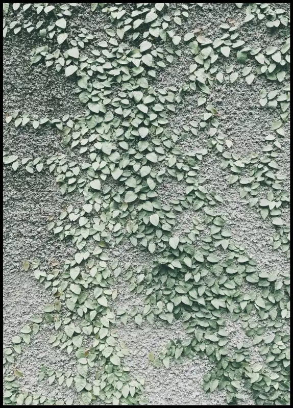 Knallerangebot Green Climbing Plant Poster