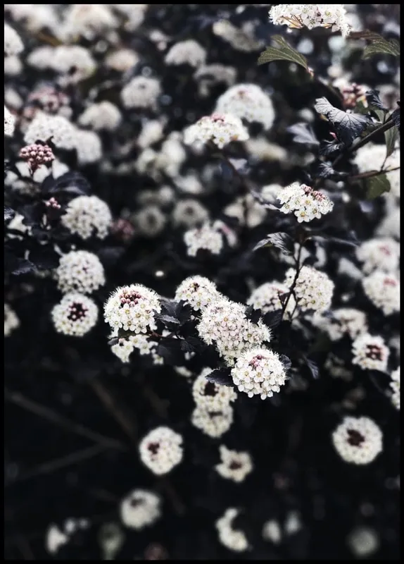 Sichere Zahlung Blooming Flowers Poster