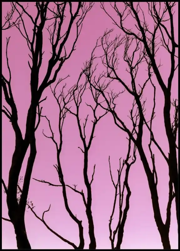 Pink Sky Poster Markenprodukt