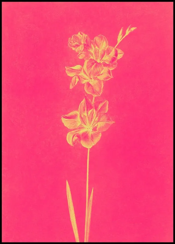 Vintage Lilly Poster Preiswert