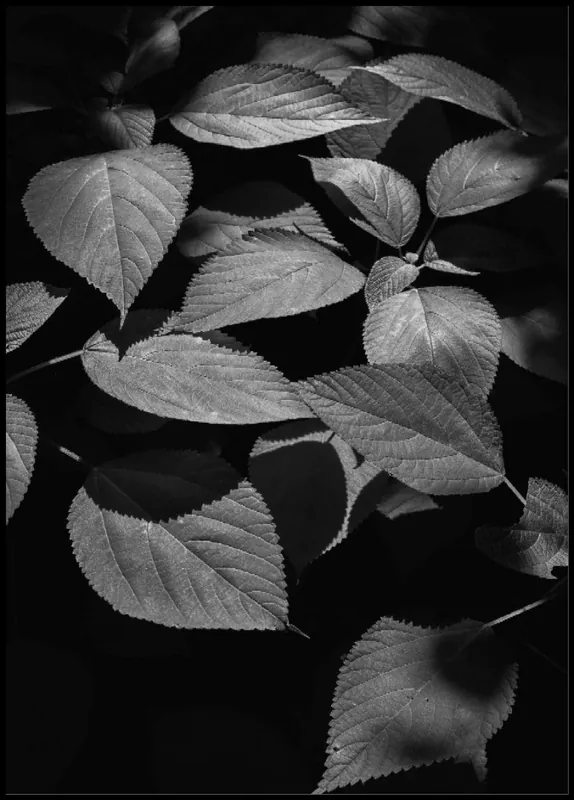 Greyscaled Leaves Poster Sichere Zahlung