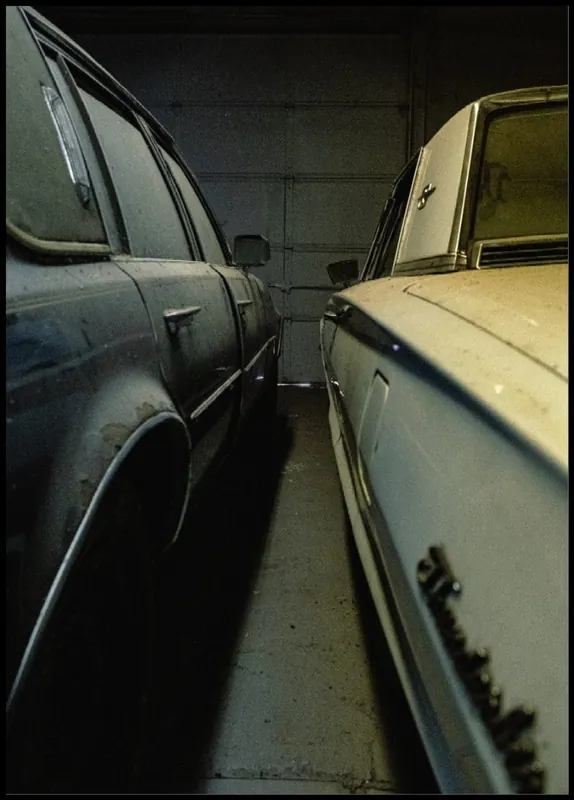 Old Dusty Cars Side by Side Poster Billig