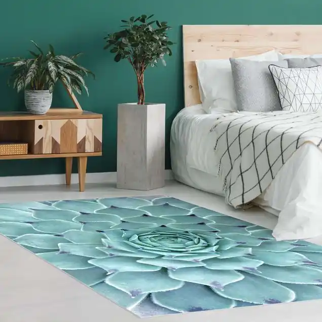 Angebot Kaktus Agave