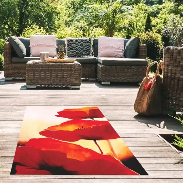 Nur Für Kurze Zeit Poppy Family