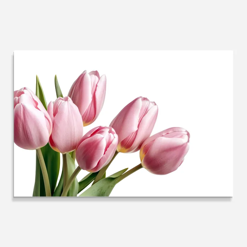 Geprüft Glasbild Pink Tulips