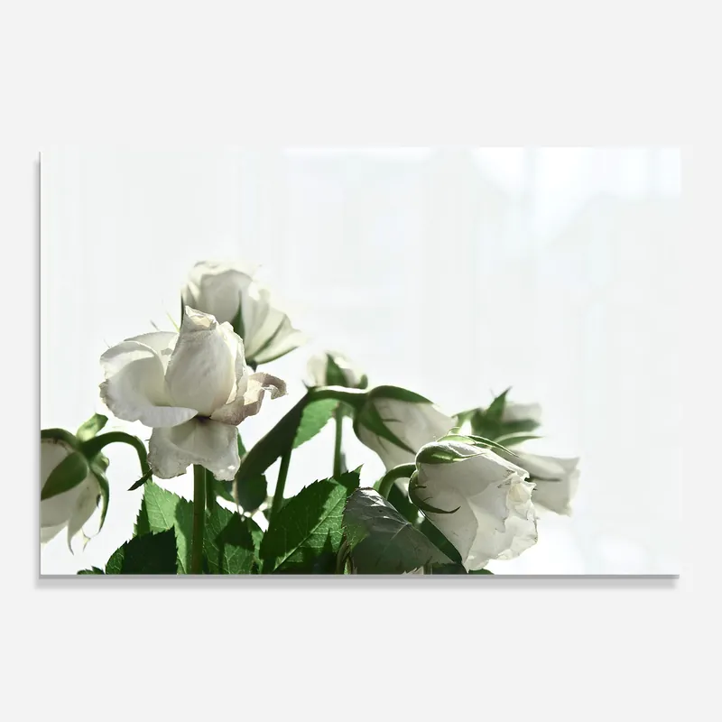 Glasbild Small White Roses Super-Preis