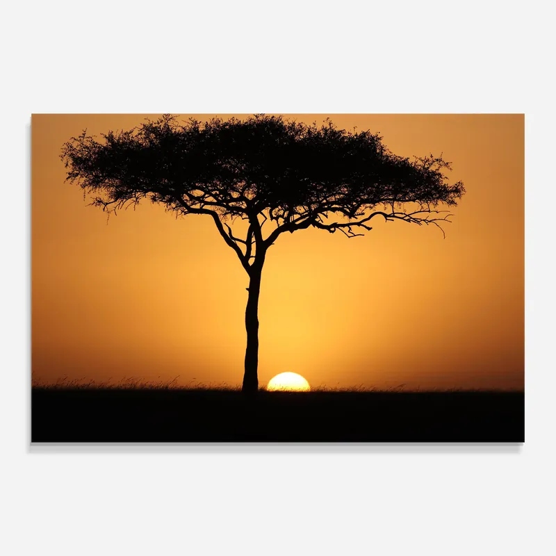 Glasbild Three Orange Sunset Angebot