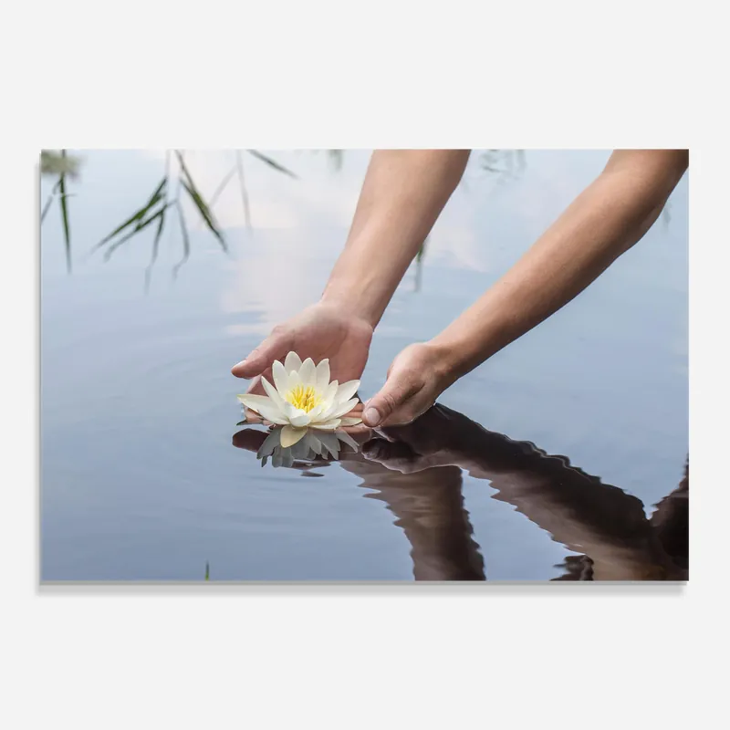 Sofort Bestellen Glasbild Holding Lake Flower