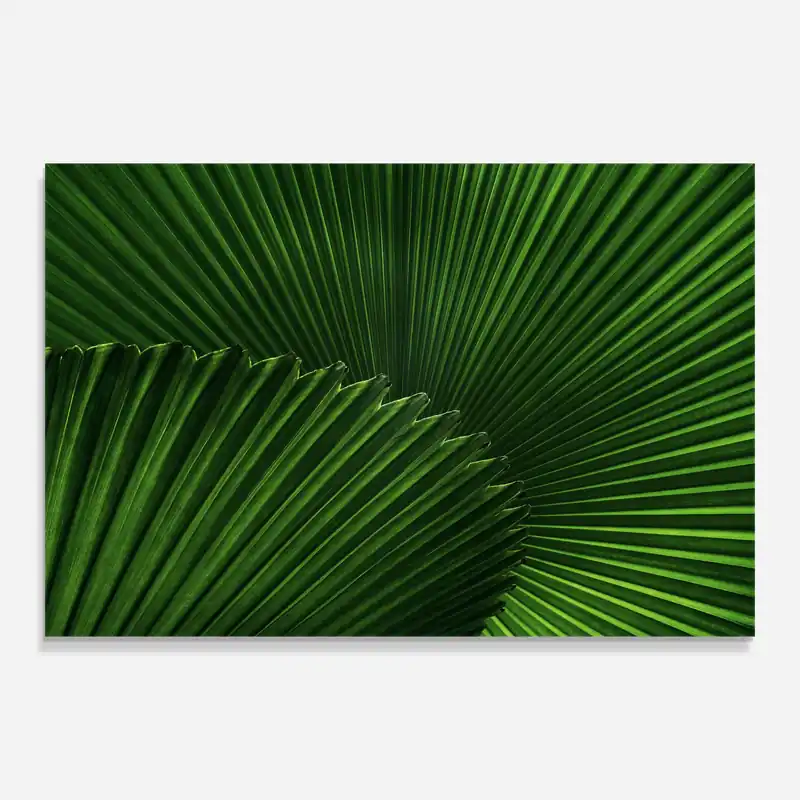 Sichere Zahlung Glasbild Strong Green Leaf Art