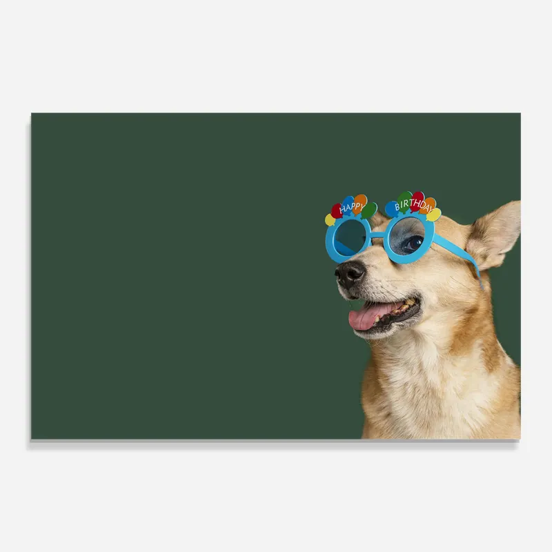 Mega-Angebot Glasbild Cute Glasses Dog