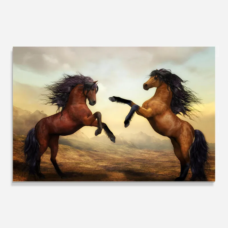Direkt Vom Hersteller Glasbild Two Horses