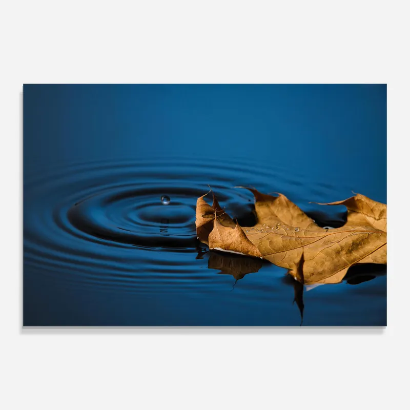 Glasbild Autumn Leaf Water Finale Aktion