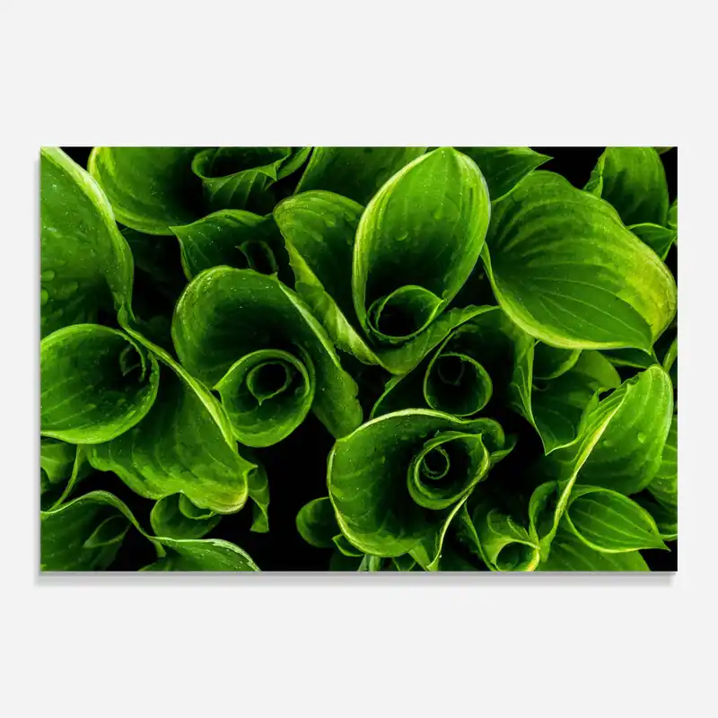 Glasbild Green Nature View Online Kaufen