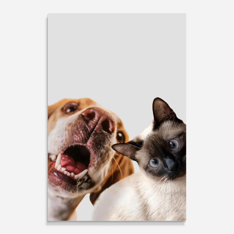 Glasbild Cute Pet Collage Billig